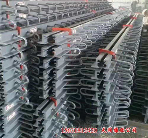 gqf z型橋梁伸縮縫 開啟 萬眾矚目 阜新